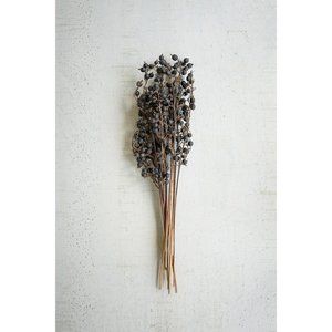 Bundle of 12 Dried Black Berries On Stem
